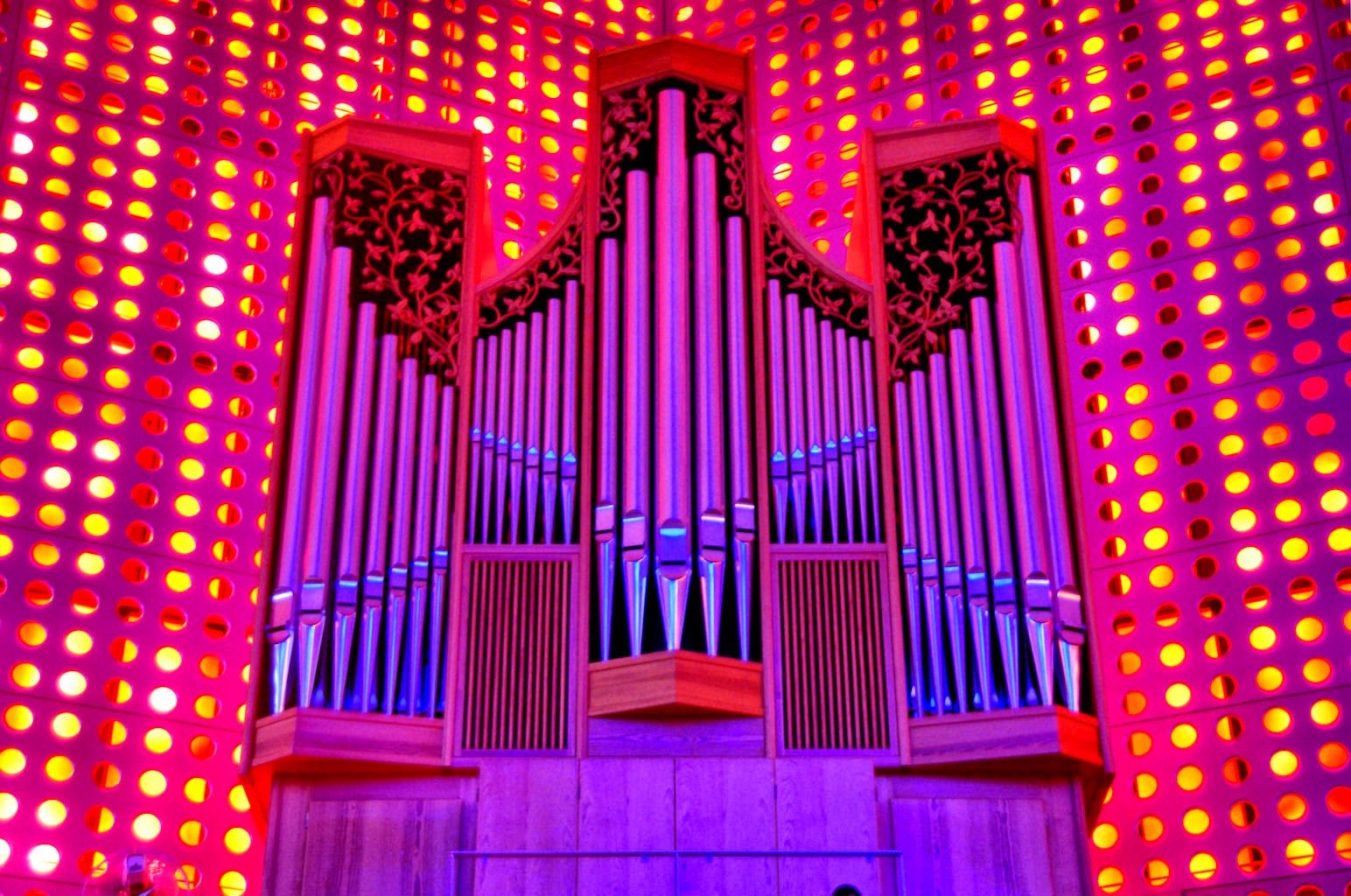 ⛪ 가고시마 자비에르 기념 대성당 (가고시마 가테도라루 자비에루 키넨 세이도) 이미지 9